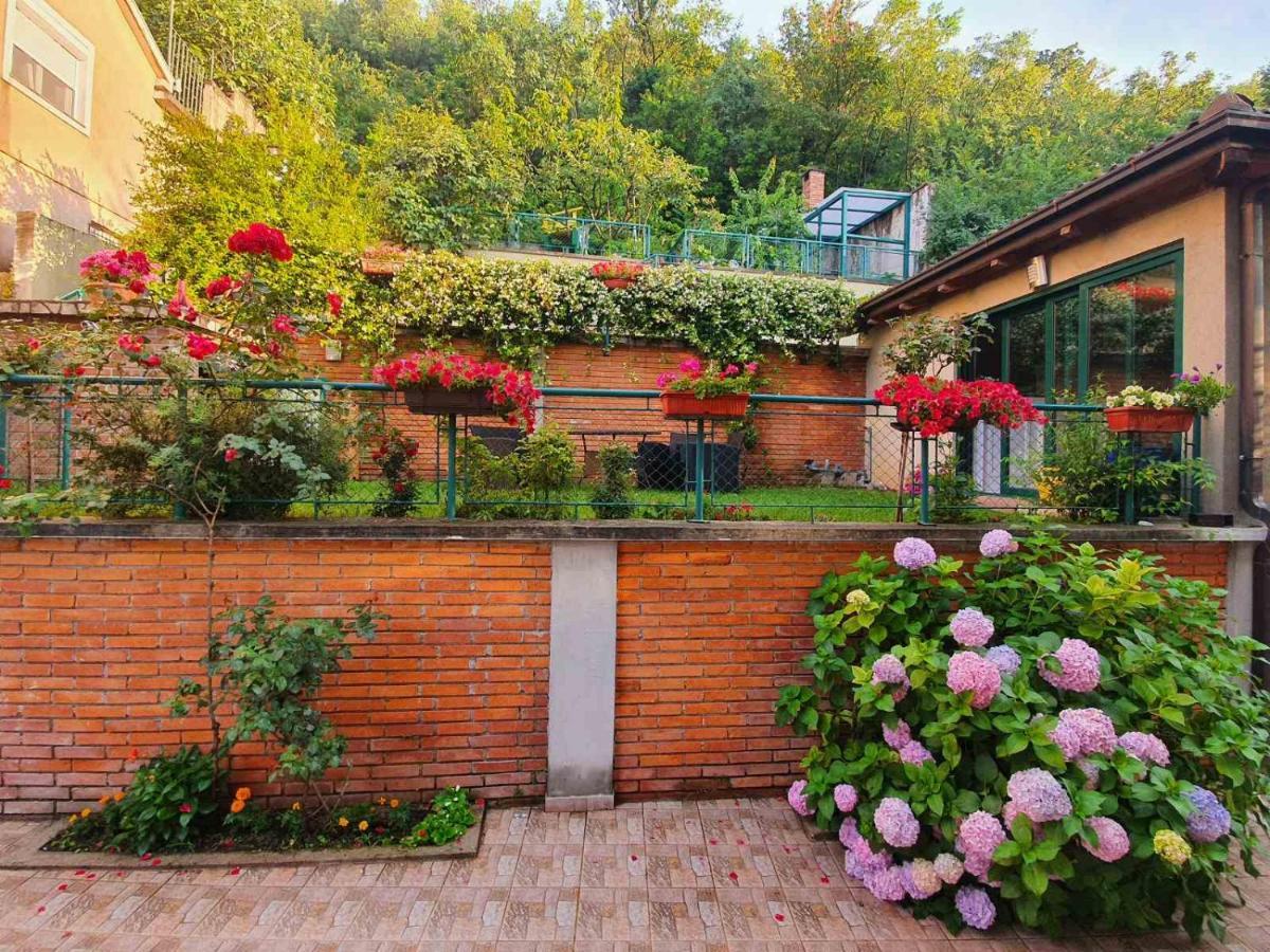 Villa Aya - With Sauna And Outdoor Swimming Pool Mostar Extérieur photo