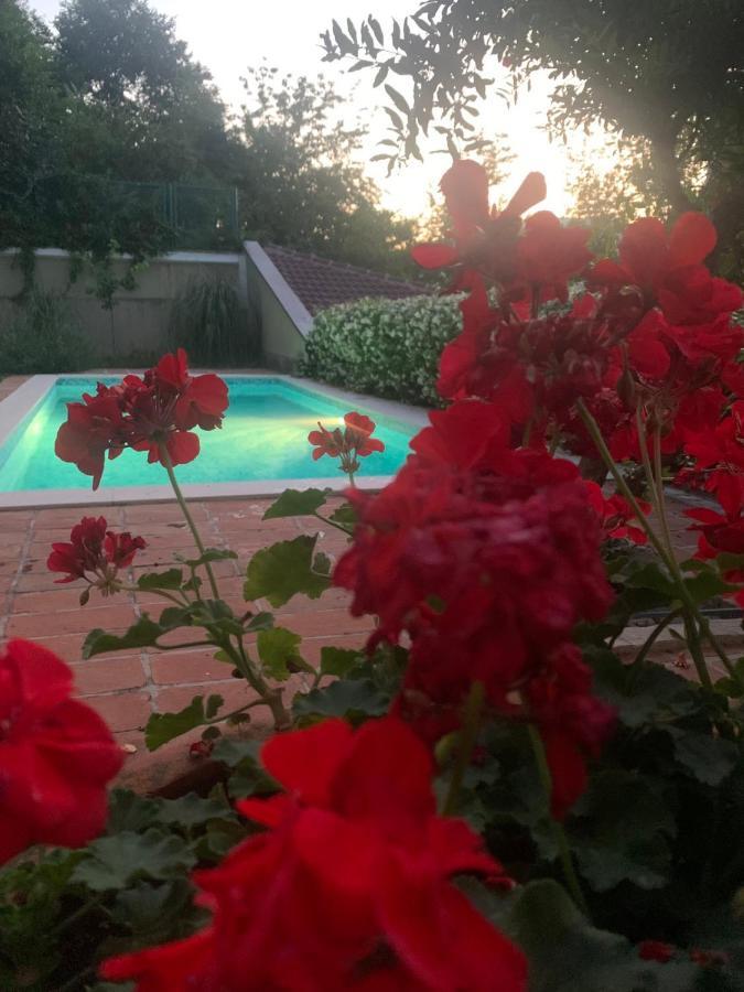 Villa Aya - With Sauna And Outdoor Swimming Pool Mostar Extérieur photo